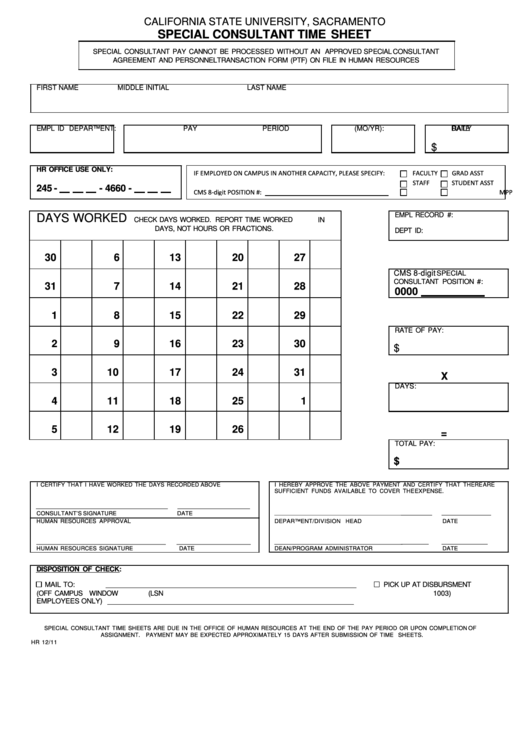 Fillable Special Consultant Time Sheet Printable pdf