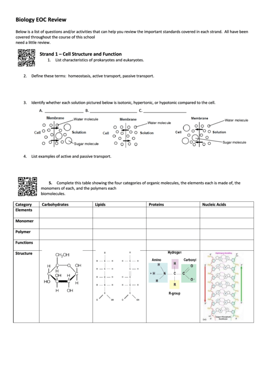 Biology Eoc Review Worksheet Printable pdf