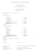 Sample Format For A Financial Report