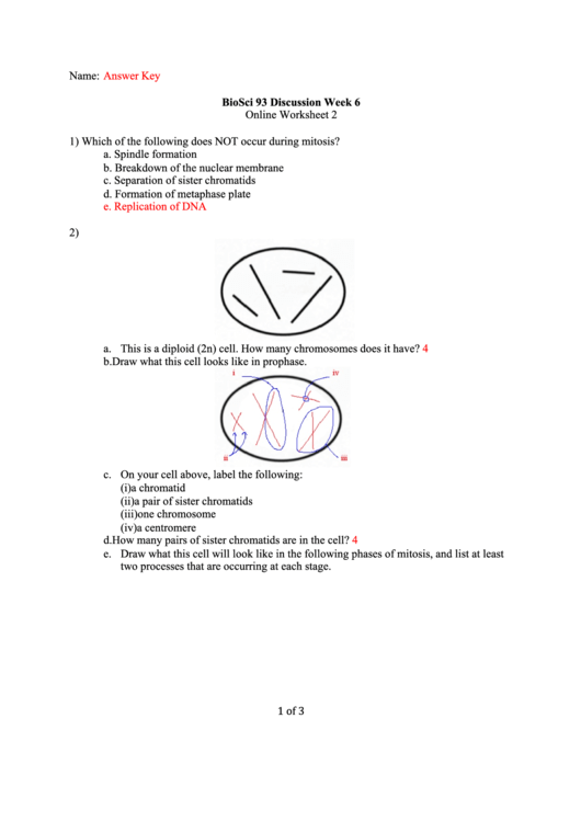 Bioscience Worksheet printable pdf download