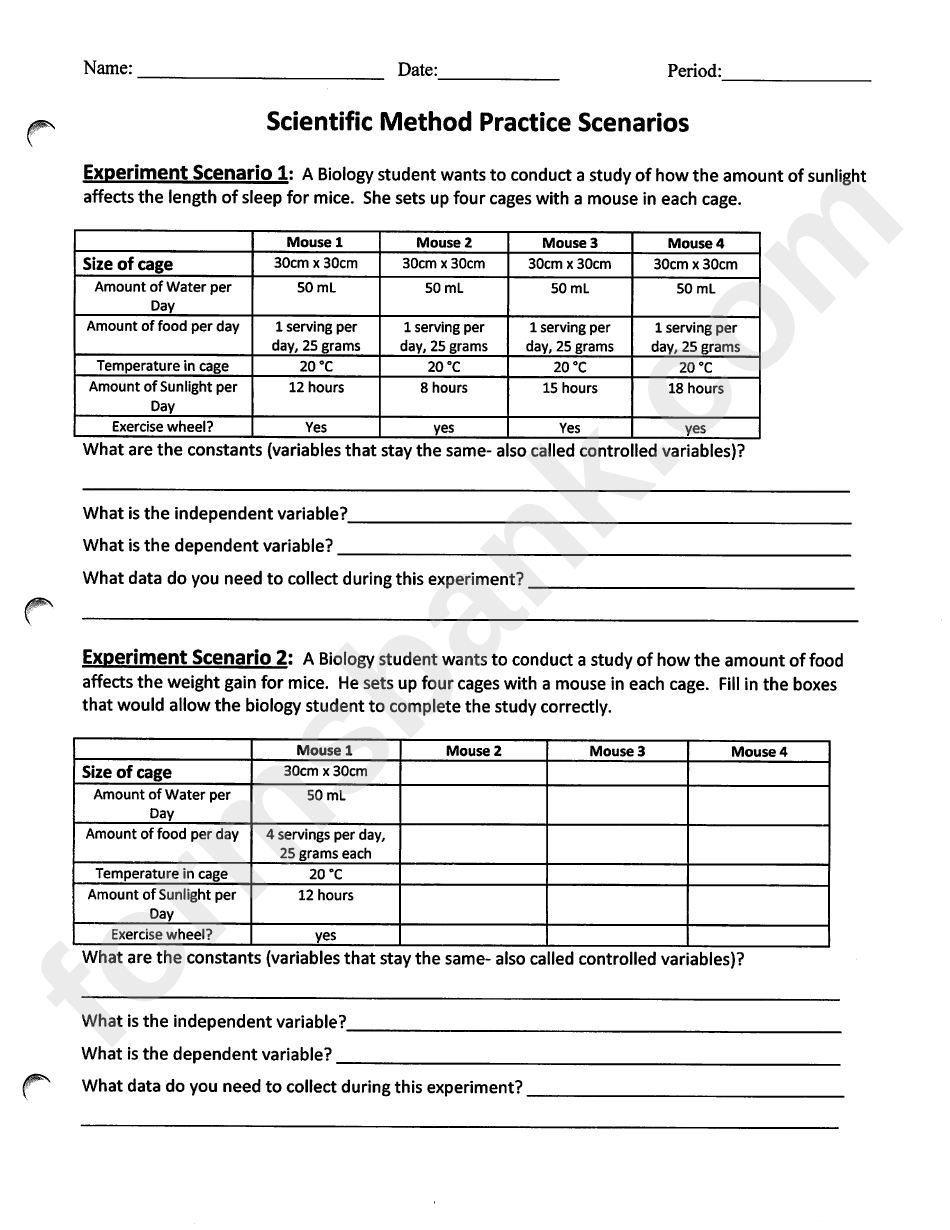 Scientific Method Worksheet