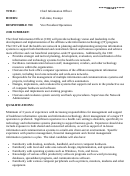 Chief Information Officer Job Description Printable pdf