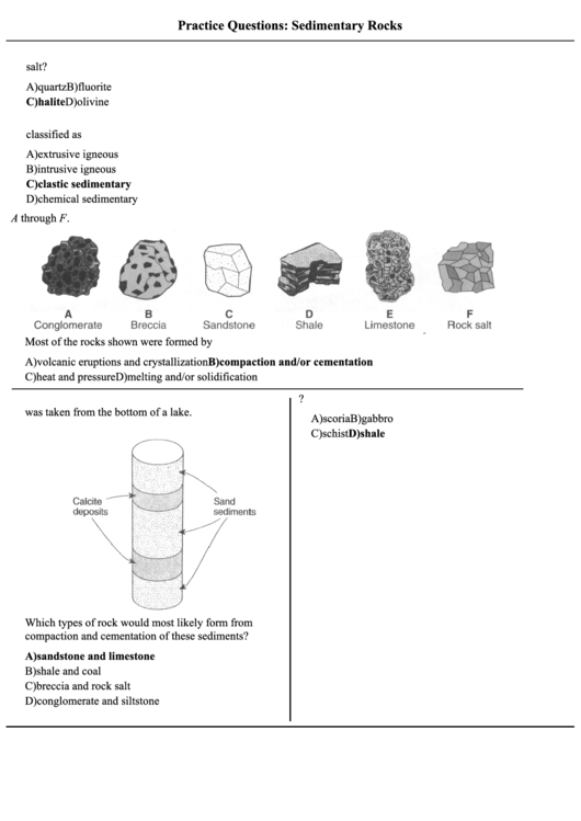 Practice Questions Sedimentary Rocks Printable pdf