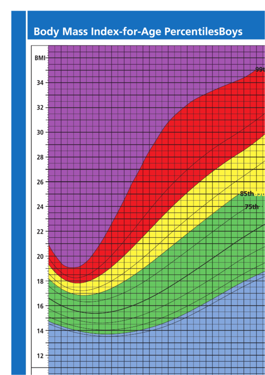 Body Mass Index-For-Age Percentiles Printable pdf