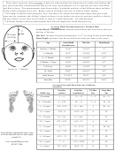 Average Head, Foot And Shoe Sizes For Children