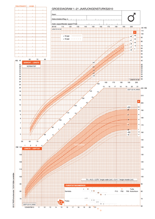 Boys Growth Chart - 1-21 Years (Turkish) Printable pdf