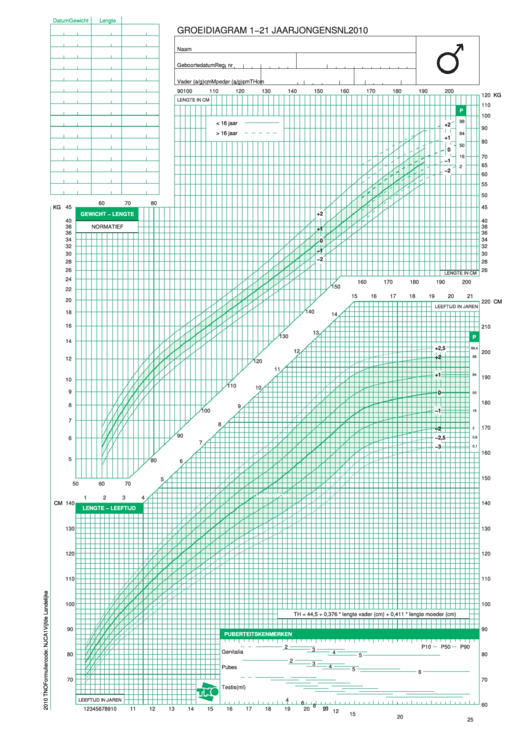 Dutch Boys 1-21 Years Chart - 2010 Printable pdf