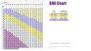 Bmi Chart Template