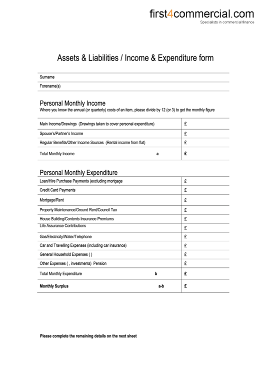 Assets & Liabilities / Income & Expenditure Form Printable pdf