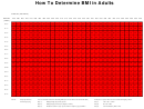 Bmi Chart For Adults