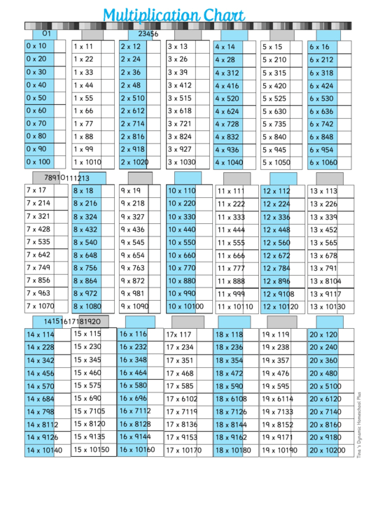 10 X 20 Times Table Chart - Light Blue