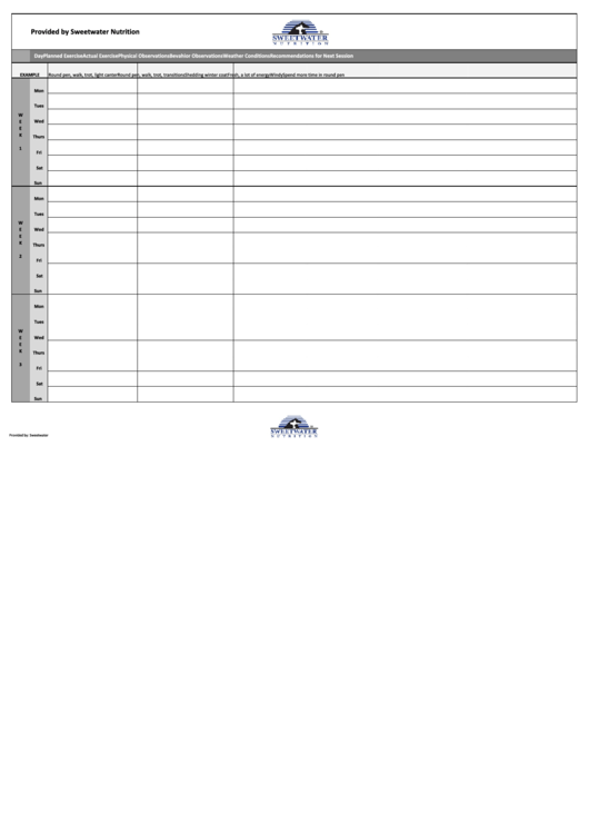 7 day weekly planner template printable pdf download