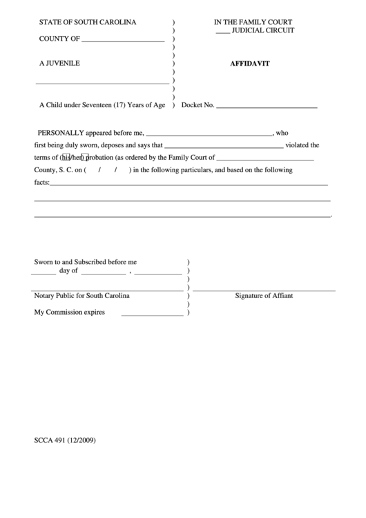 Affidavit - State Of South Carolina Family Court Printable pdf