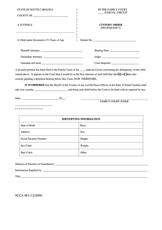 Custody Order Delinquency Printable pdf