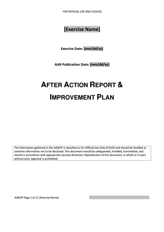 After Action Report & Improvement Plan Template Printable pdf