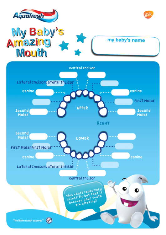 Baby Teeth Chart Template Printable pdf