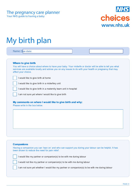 My Birth Plan Printable pdf