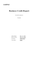 Business Credit Report