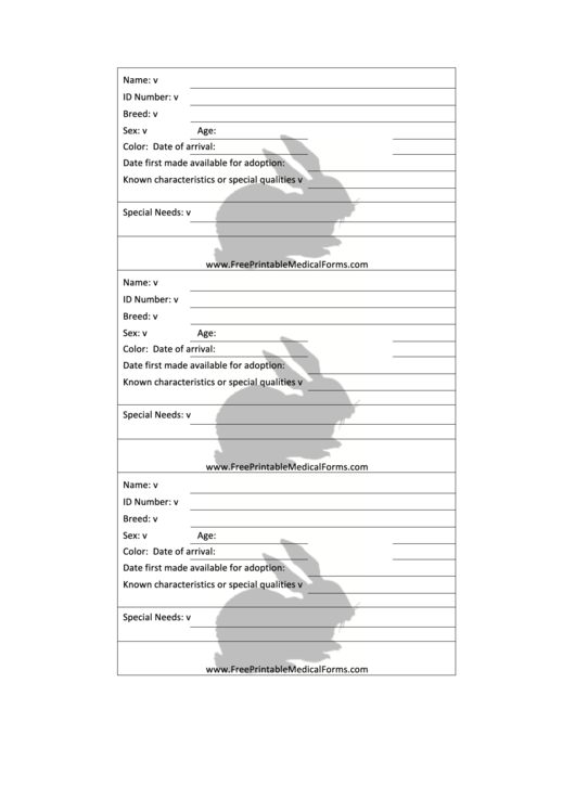 Rabbit Adoption 3x5 Cage Card Printable pdf