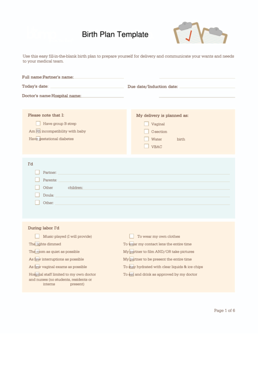 Birth Plan Template Printable pdf