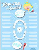 Tooth Loss Chart - Blue