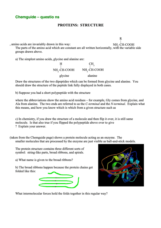 Proteins Structure Printable pdf