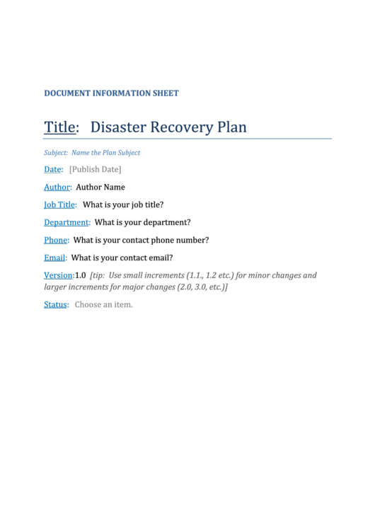 Disaster Recovery Plan Printable pdf