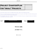 Project Charter/plan For 'small' Projects