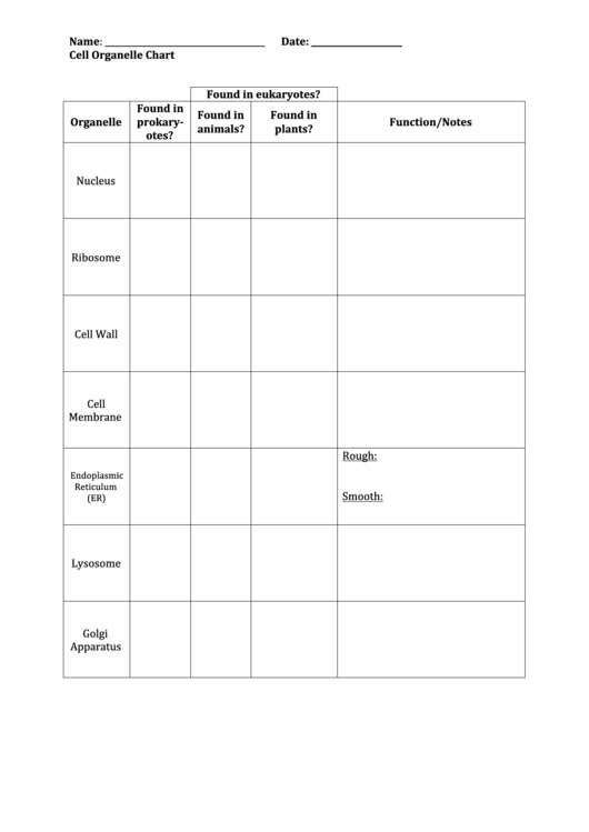 Cell Organelle Chart Printable pdf