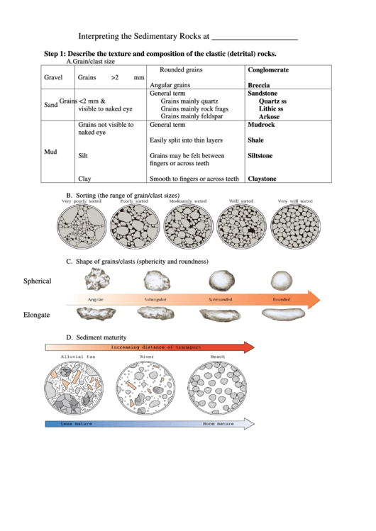 Interpreting The Sedimentary Rocks Printable pdf