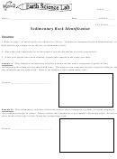 Sedimentary Rock Identification Printable pdf