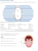 Mouth And Dental Chart Bodily Injury Chart