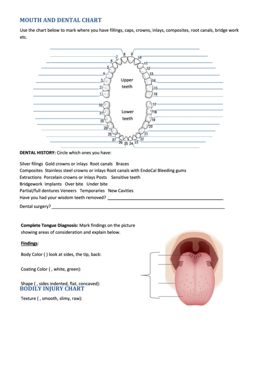Mouth And Dental Chart Bodily Injury Chart Printable pdf