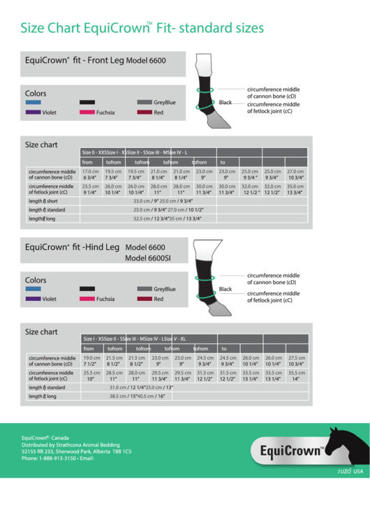 Equicrown Fit Horse Socks Size Chart Printable pdf