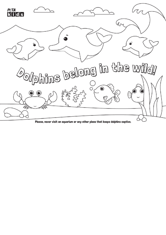 Dolphin Coloring Sheet Printable pdf