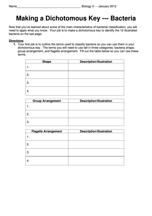 Dna Worksheet Mr Hoyle Answers