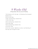 9 Weeks Old Baby Schedule