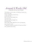 Around 6 Weeks Old Baby Schedule