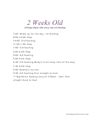 2 Weeks Old Baby Schedule