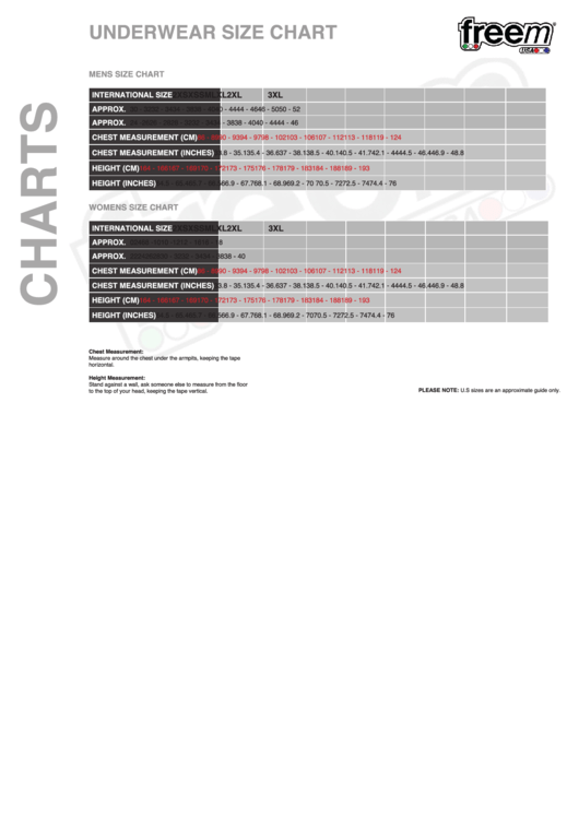 Freem Usa Underwear Size Chart Printable pdf