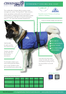 Quantum Chill Hyperkewl Cooling Dog Coat