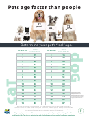 Pets Age Faster Poster Dog Years Chart