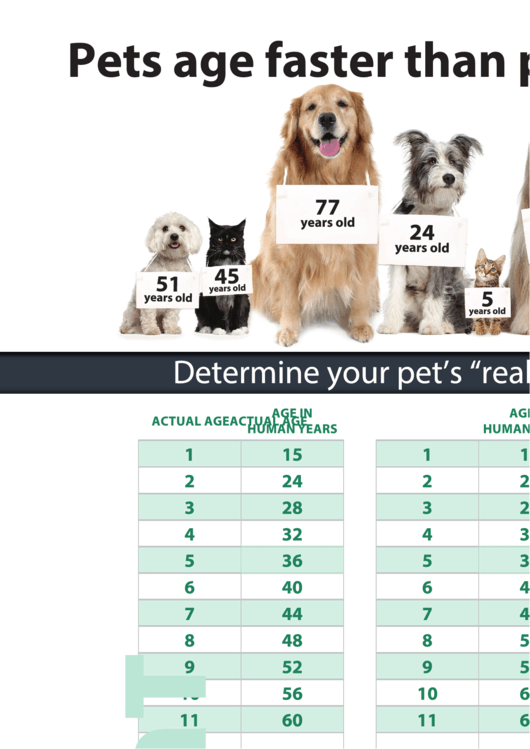 Pets Age Faster Poster Dog Years Chart