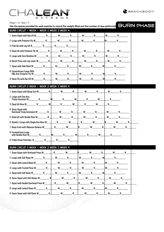 Chalean Extreme Piyo Hybrid Workout - 8 Week Plan Printable pdf